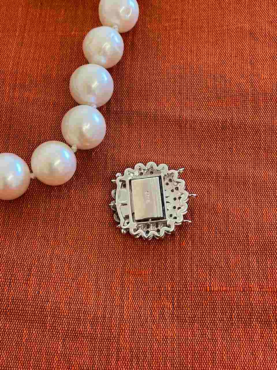 CALIFORNIA flower clasp in sterling silver and cubic zirconia