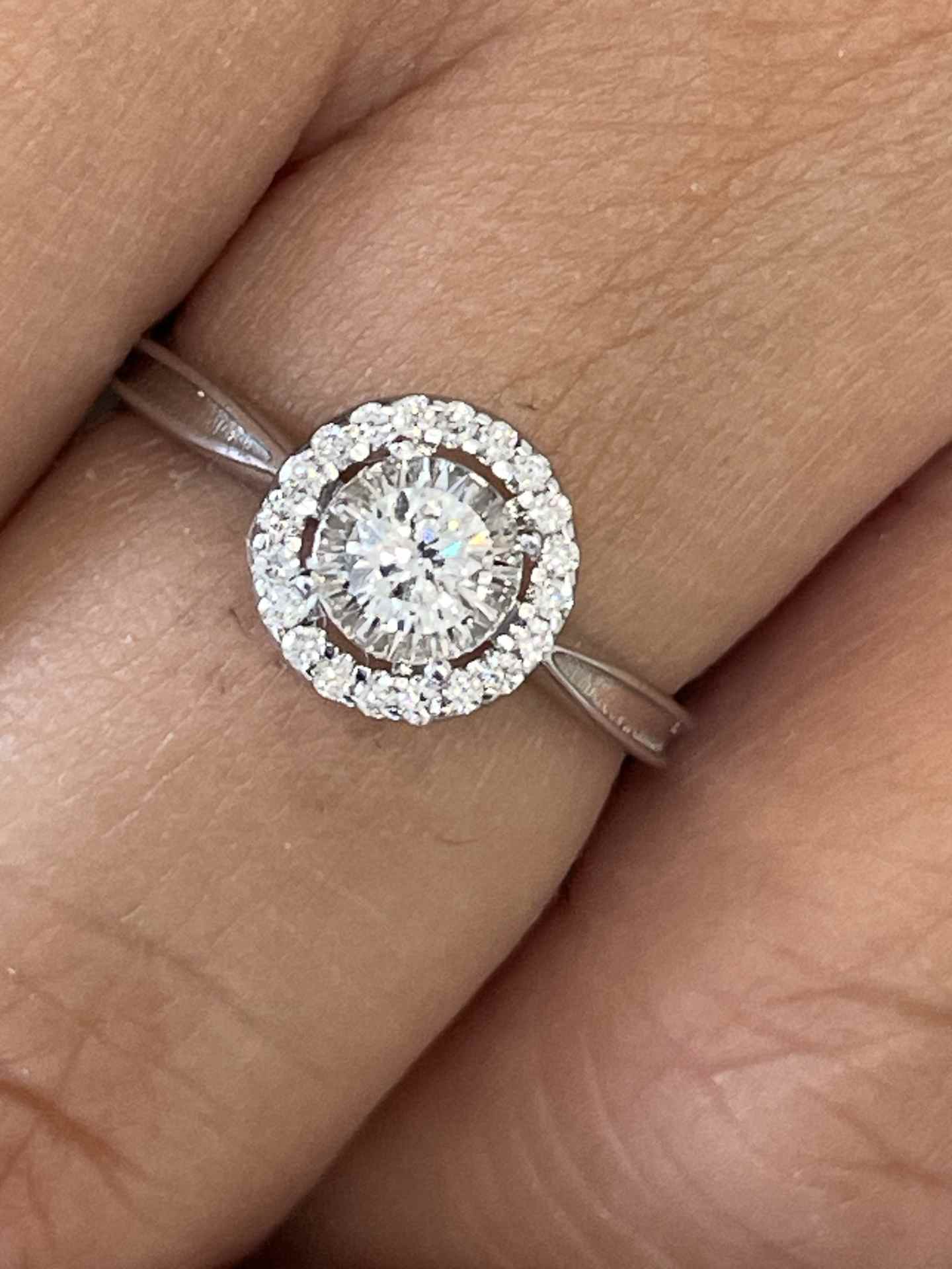 Anillo BASTIA solitario con orla de brillante en oro blanco 18 ktes