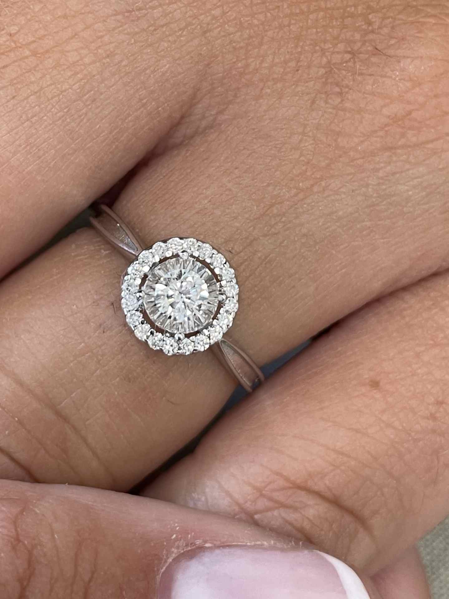 Anillo BASTIA solitario con orla de brillante en oro blanco 18 ktes